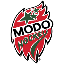 MoDo - AIK (Kvartsfinal Hockeyallsvenskan)